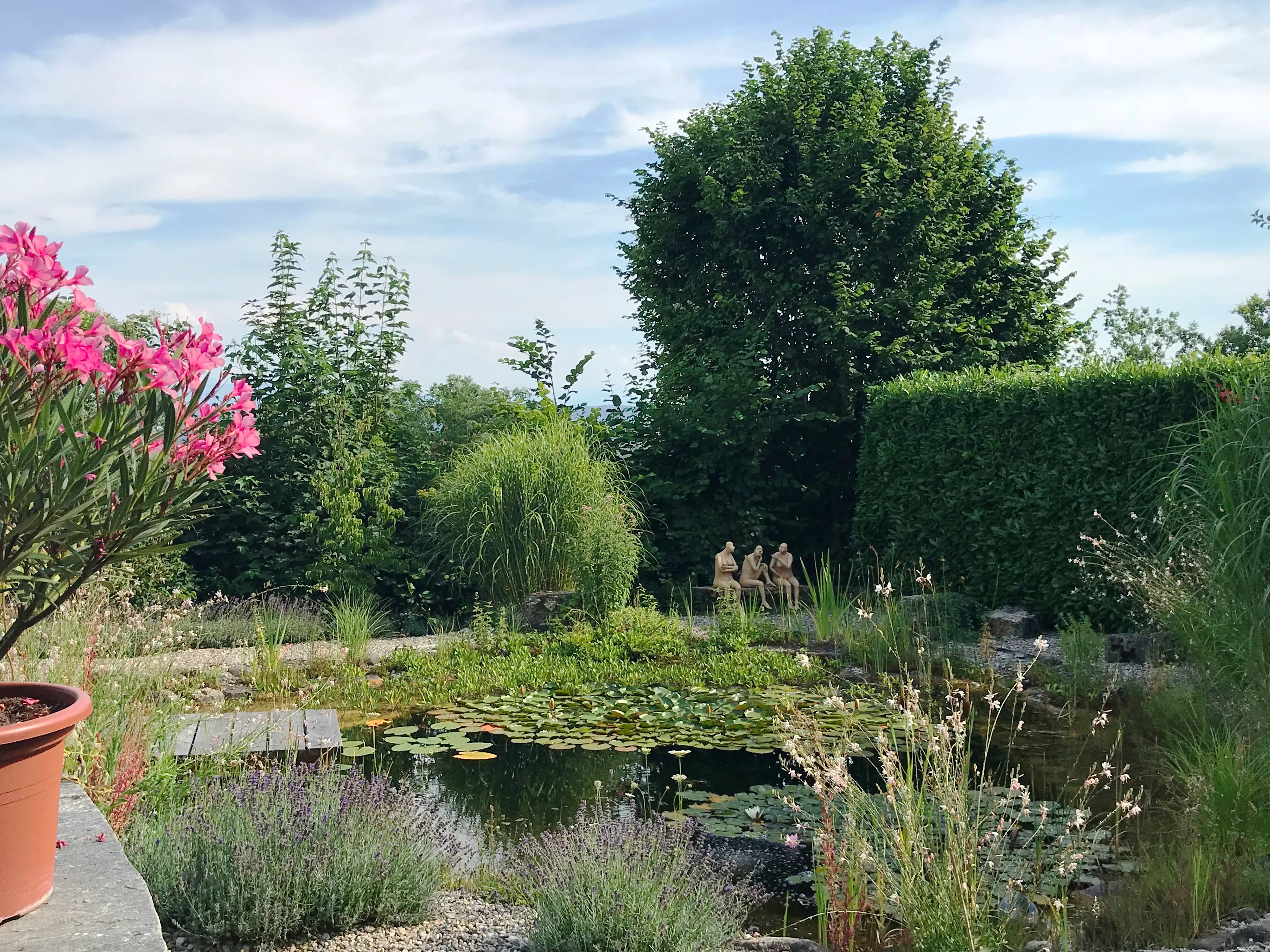 Gartenteich mit Seerosen, Gräsern und blühenden Pflanzen